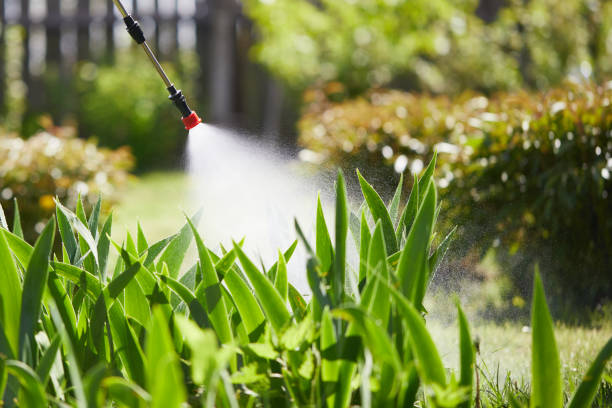 24/7 Emergency Mosquito Control experts in DeLand Southwest, FL