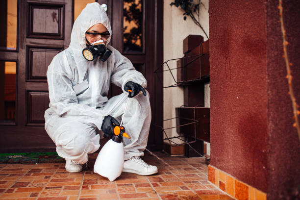 Reliable Mosquito Control contractor in DeLand Southwest, FL by Show Me Pest Control